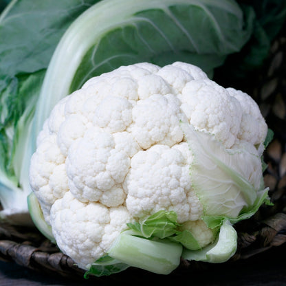 Cauliflower – F1 Hybrid 45+ Seeds