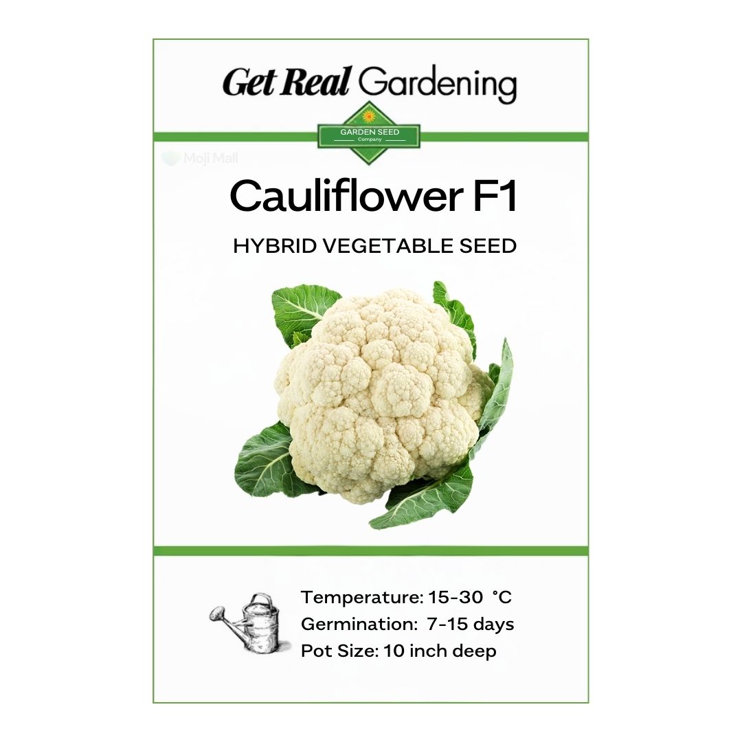 Cauliflower – F1 Hybrid 45+ Seeds