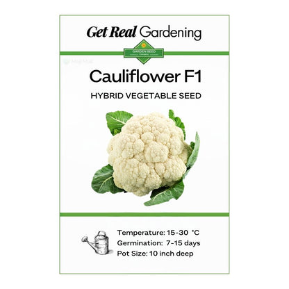 Cauliflower – F1 Hybrid 45+ Seeds