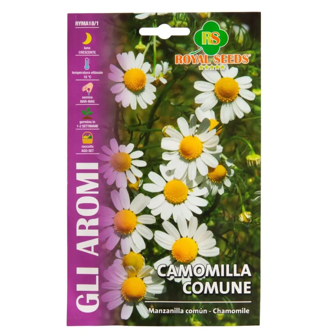 Chamomile – Royal Seeds (imported - Limited Stock)