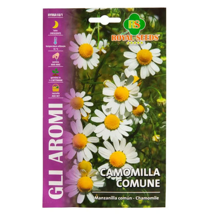 Chamomile – Royal Seeds (imported - Limited Stock)