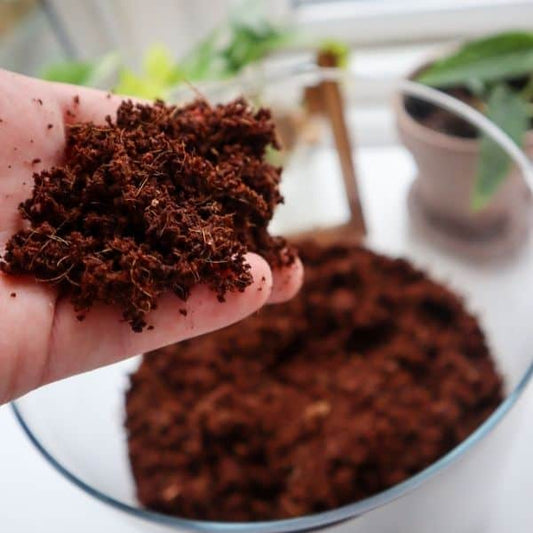 Coco Peat (Washed & Wet)