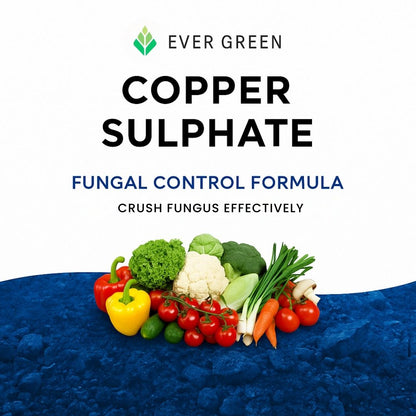 Copper Sulphate (Fungicide)