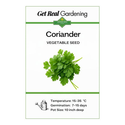 Coriander (دیسی دھنیے کے بیج) – 500+ Seeds