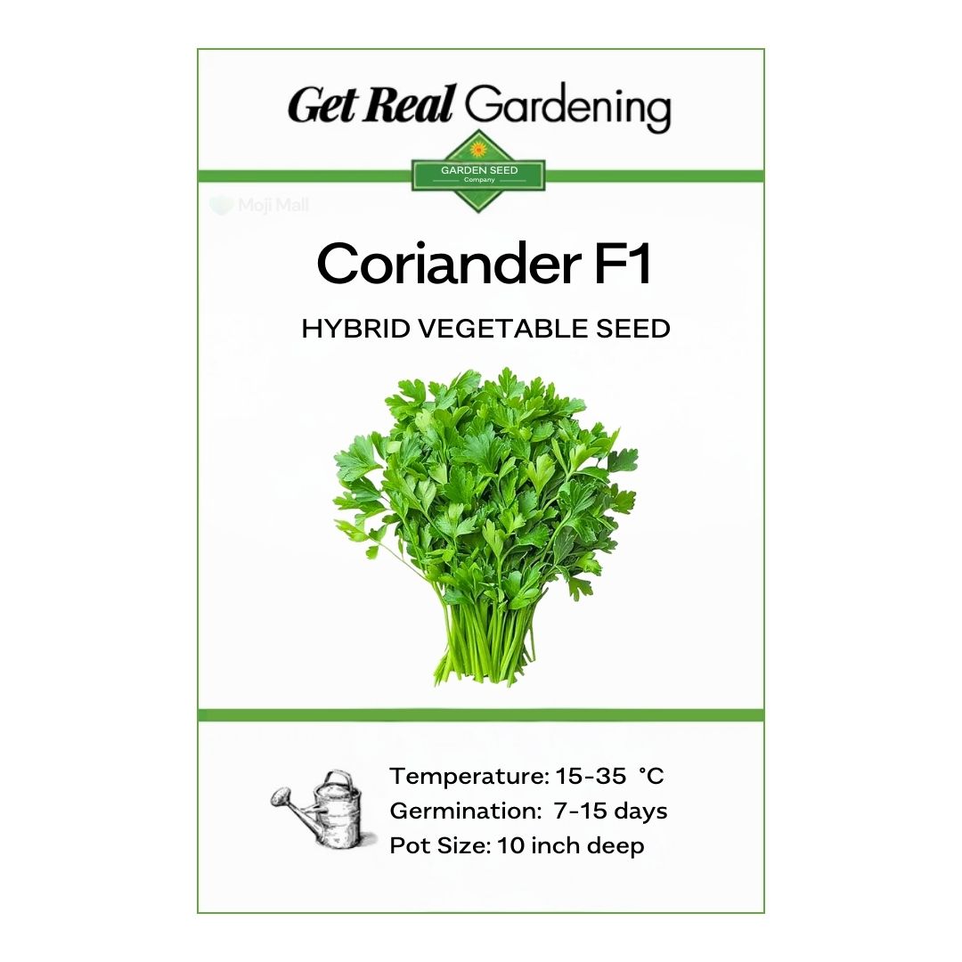 Coriander – F1 Hybrid Seeds
