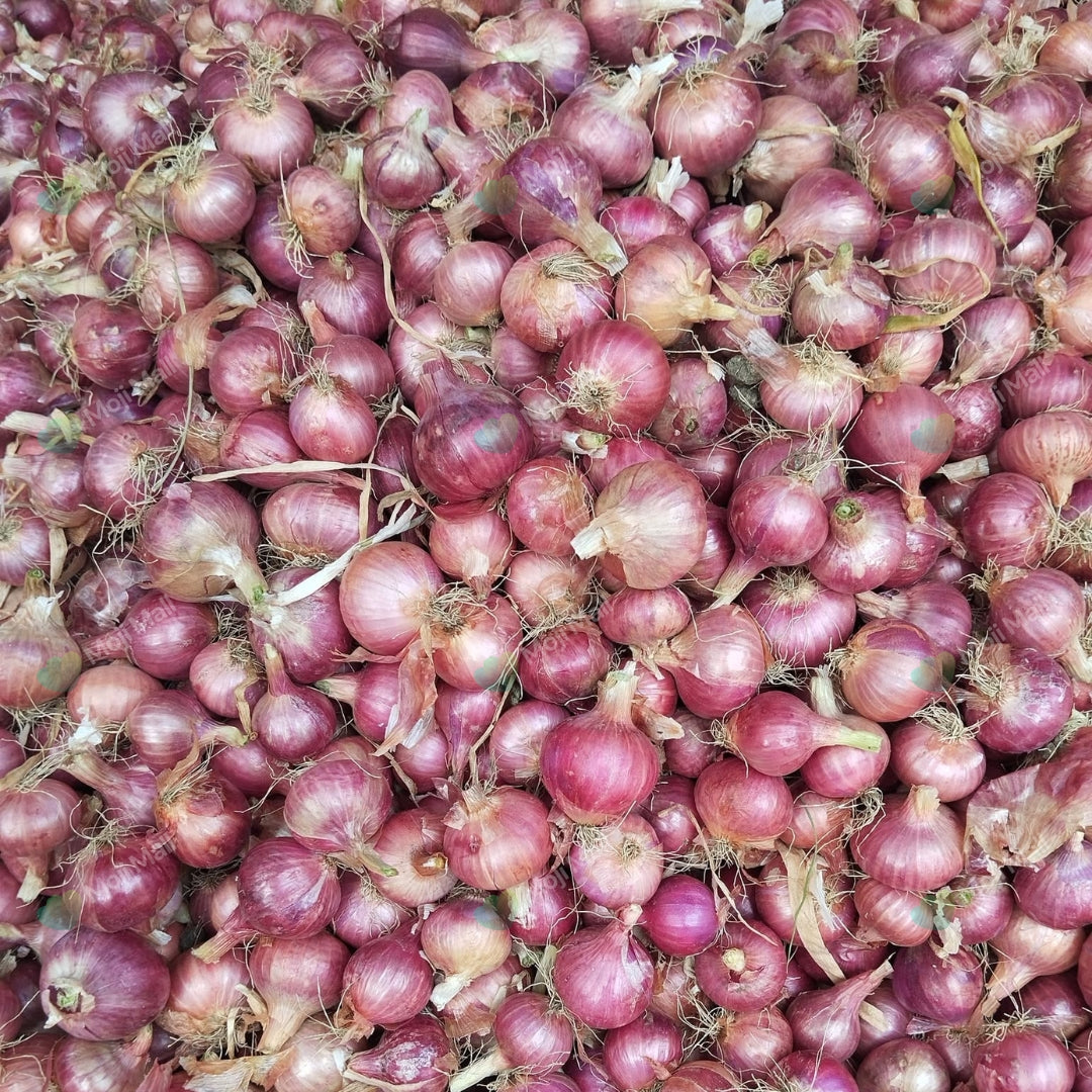 Close-up of a pile of small red onions.