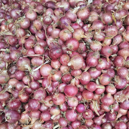 Close-up of a pile of small red onions.