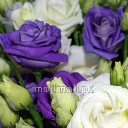 Lisianthus Tall Double – F1 Hybrid 10 Seeds