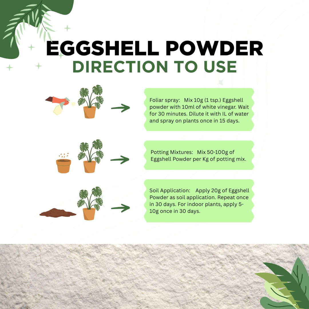 Eggshell Powder – Organic Fertilizer-Moji Mall