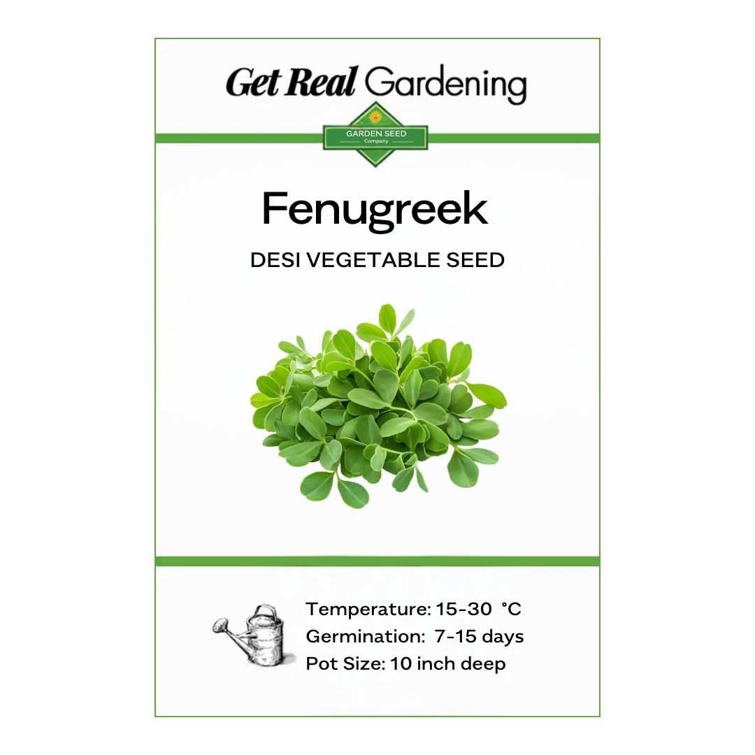 Fenugreek (قصوری میتھی کے بیج) – 1500+ Seeds