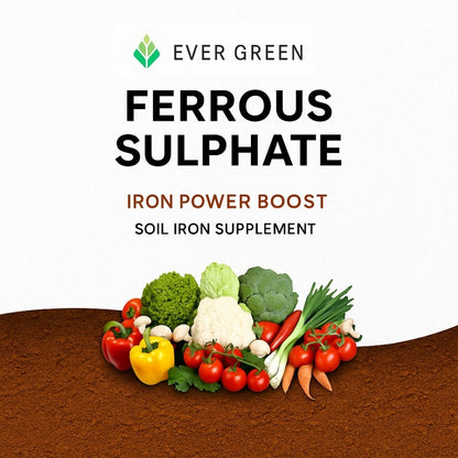 Ferrous Sulphate Fertilizer