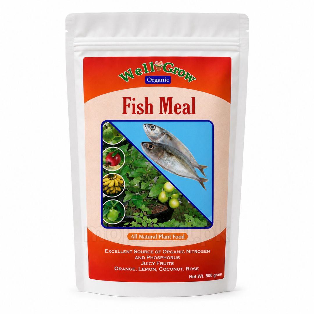 Fish meal – Organic Fertilizer