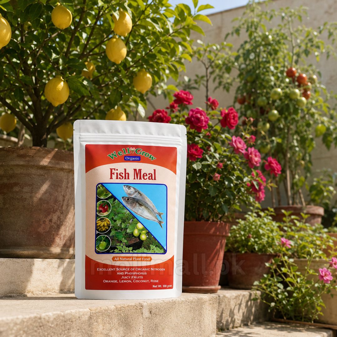 Fish meal – Organic Fertilizer