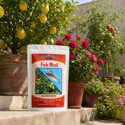 Fish meal – Organic Fertilizer
