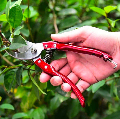 Flower Cutter