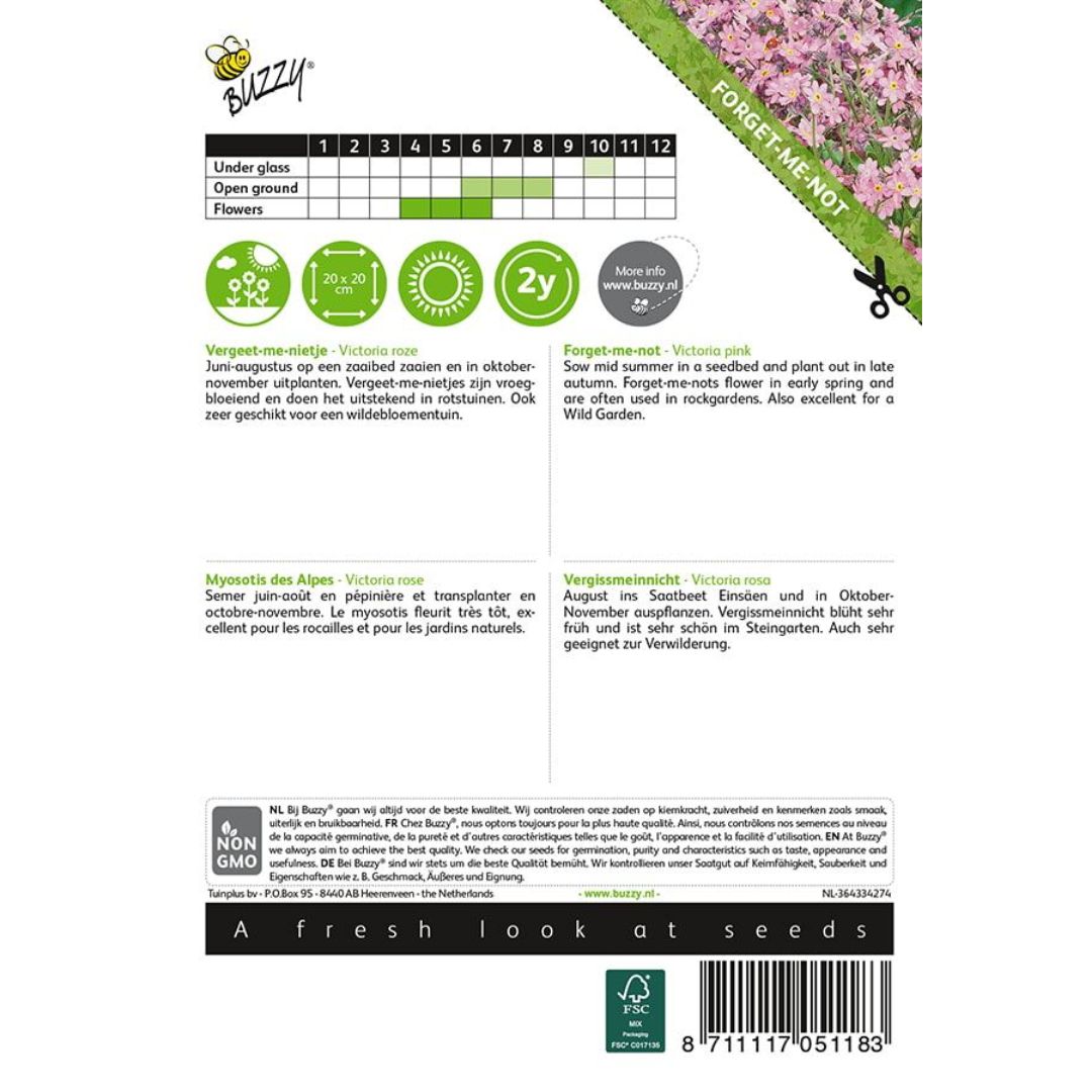 Forget‑Me‑Not – Seeds