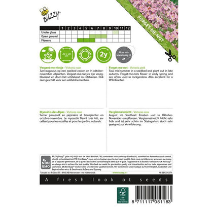 Forget‑Me‑Not – Seeds