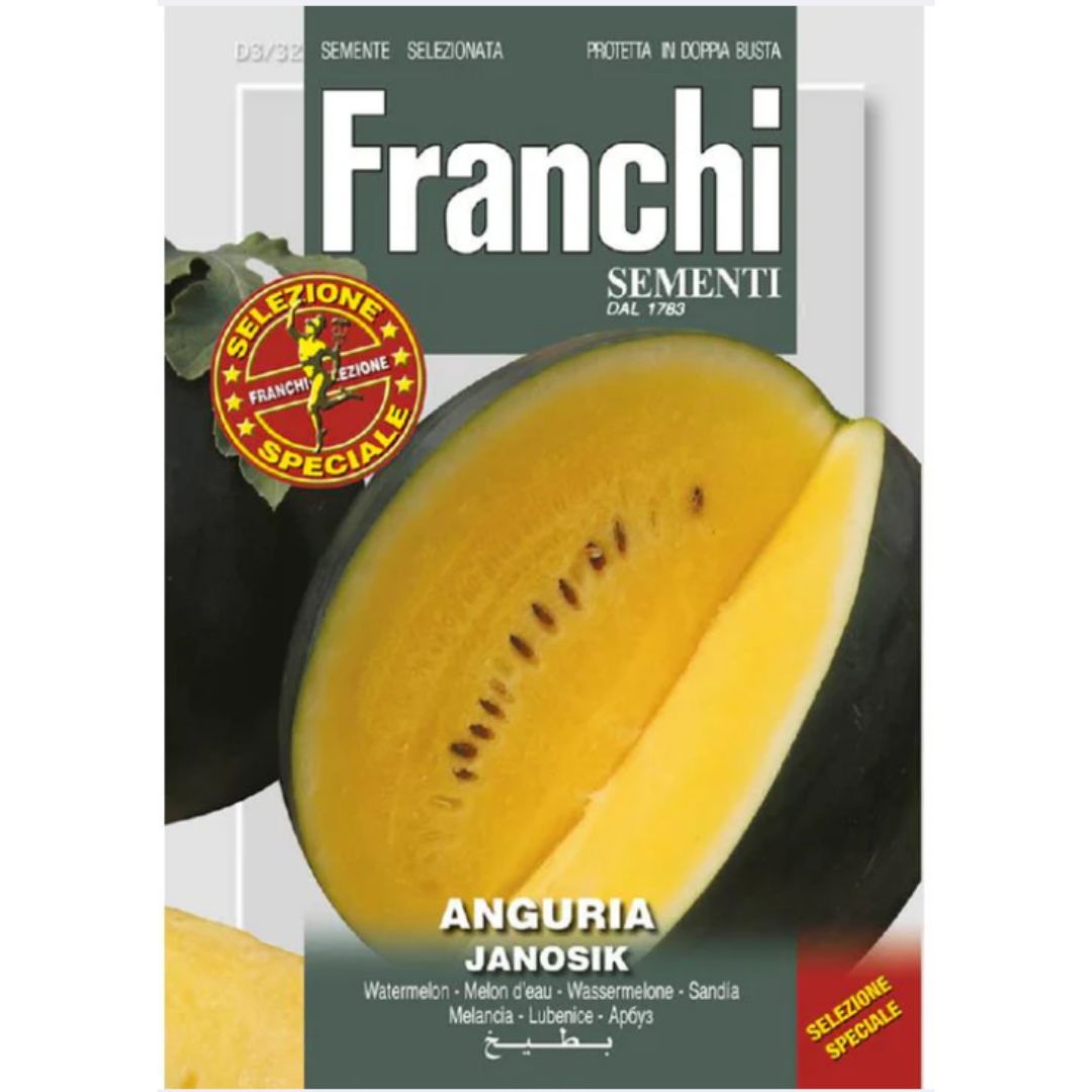 Watermelon (تربوز) Janosik Franchi Seeds - (Limited - Imported Pack)
