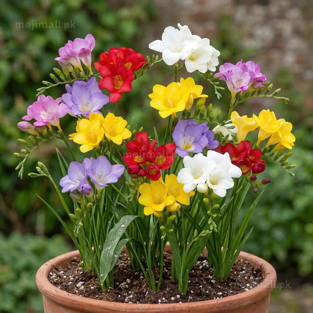 Discounted Bundles