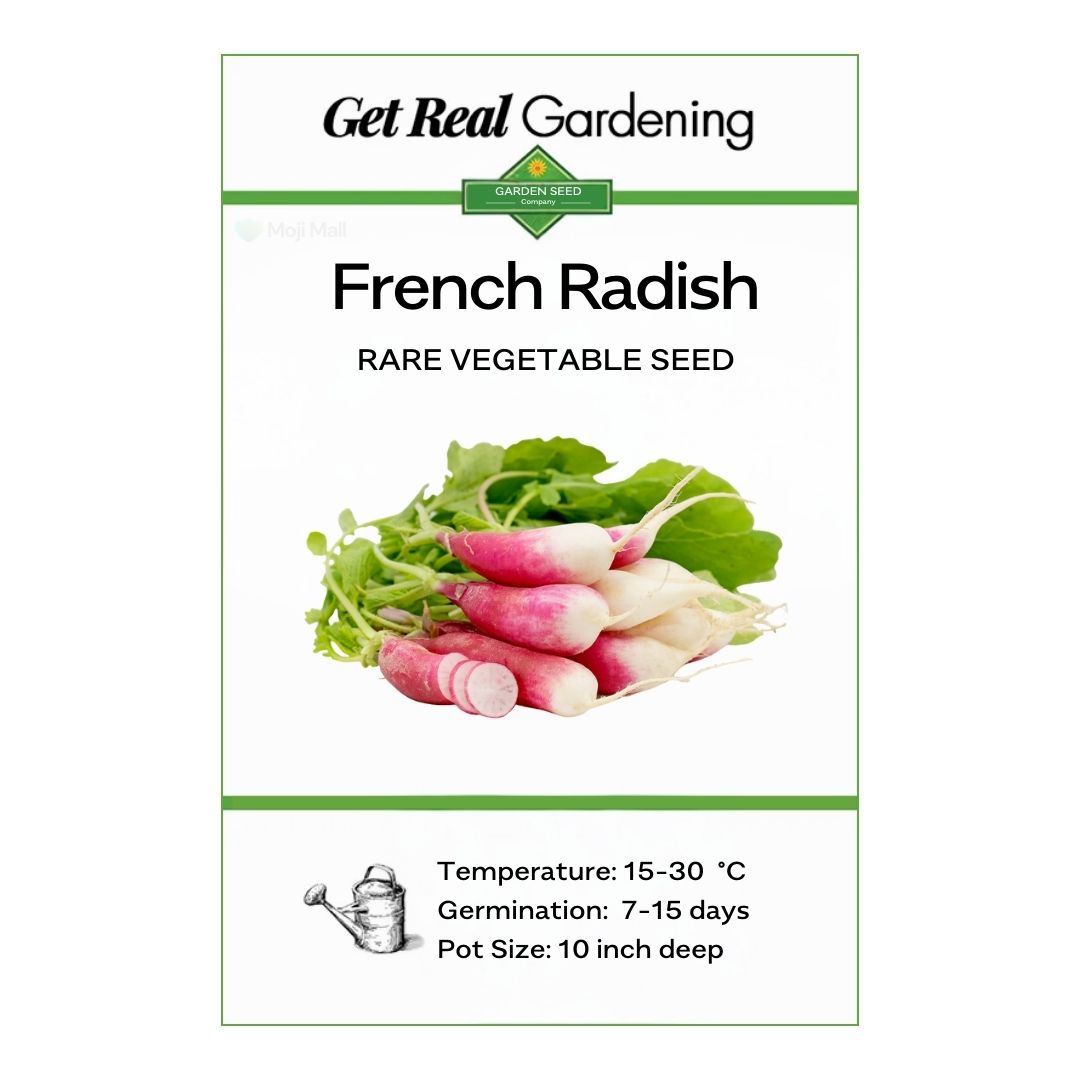 Radish (French) 40+ Seeds