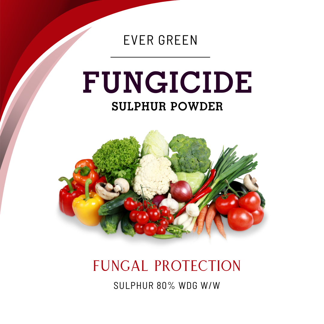 Fungicide Powder - Sulphur 80