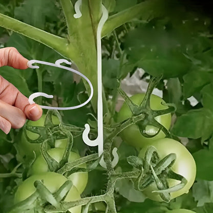 Plant Support Hooks