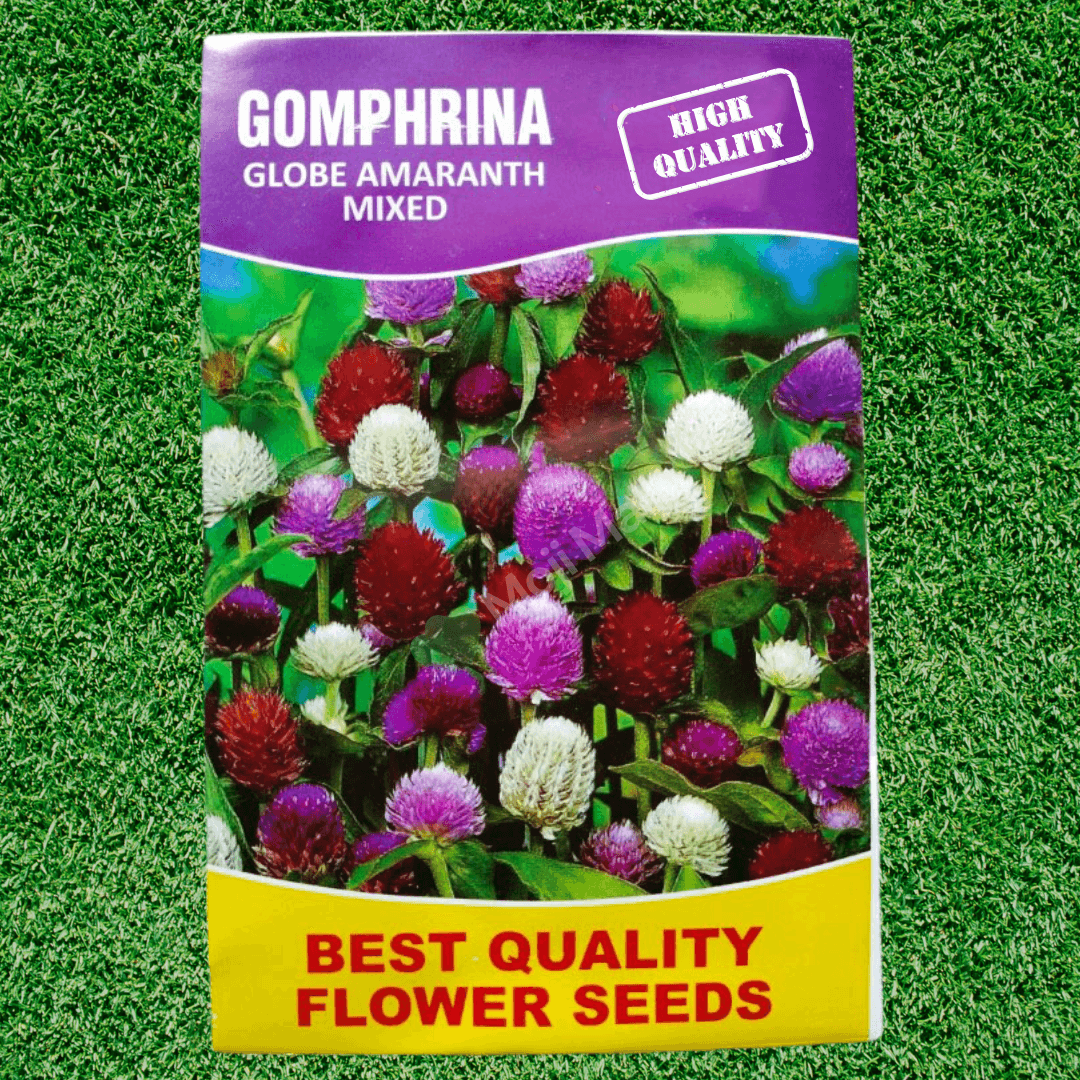 Gomphrena Globe (Amaranth Mixed) – 50+ Seeds (SUMMER)