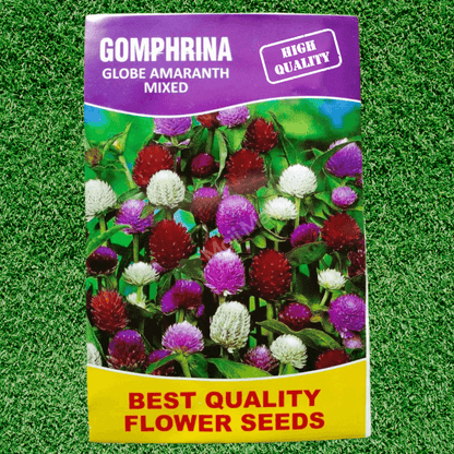 Gomphrena Globe (Amaranth Mixed) – 50+ Seeds (SUMMER)