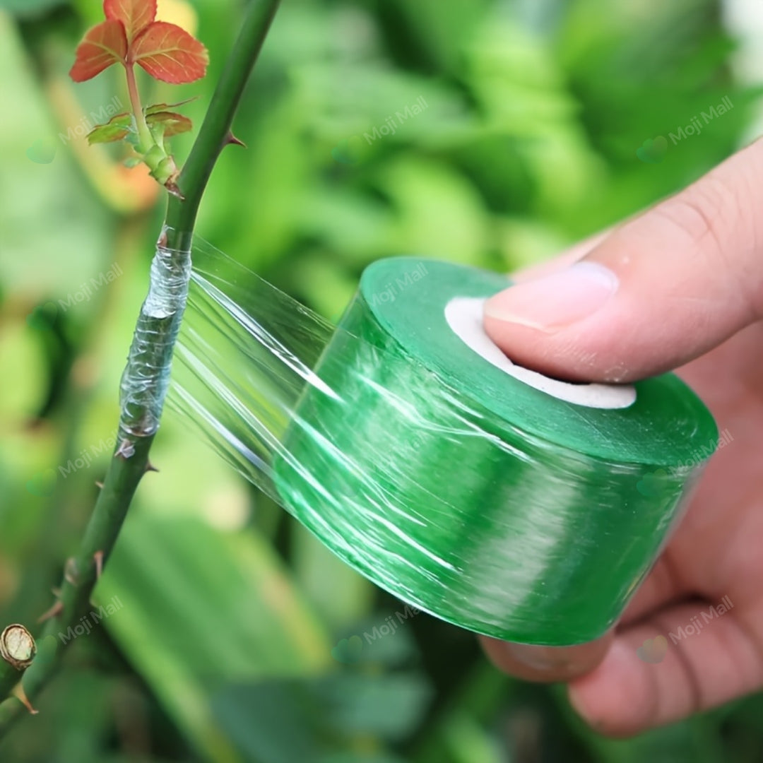 Garden Accessories