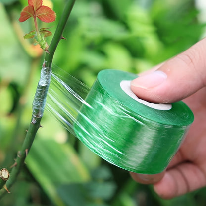 Grafting Tape - Green