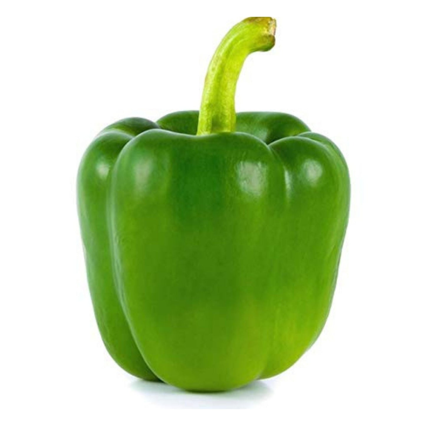 Capsicum Green (دیسی شملہ مرچ کے بیج) – 40+ Seeds