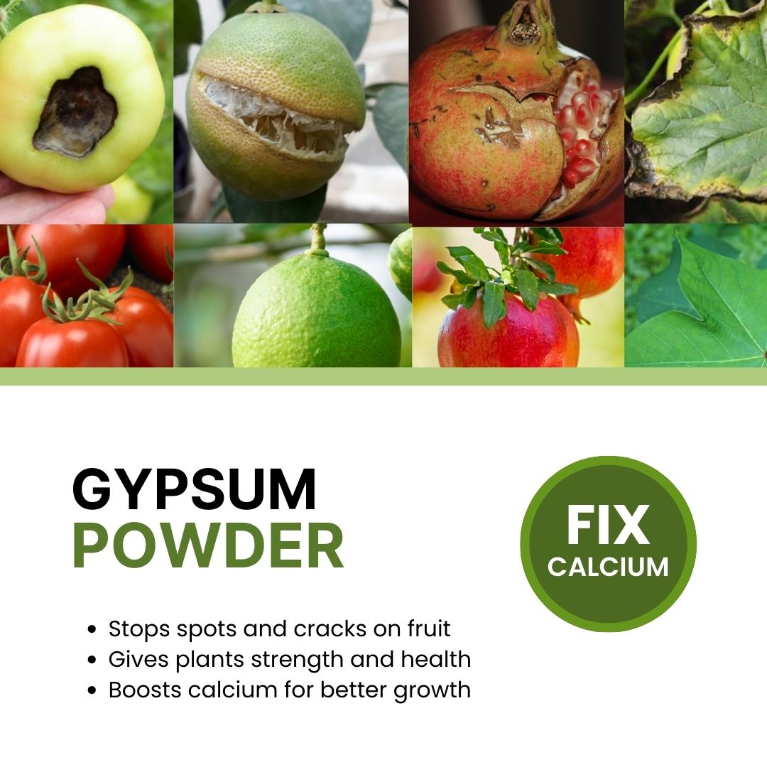 Collage of fruits and vegetables with text about gypsum powder and calcium benefits.