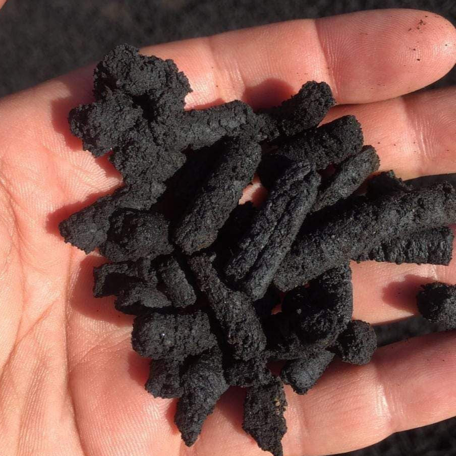 Humic acid - Solid Form