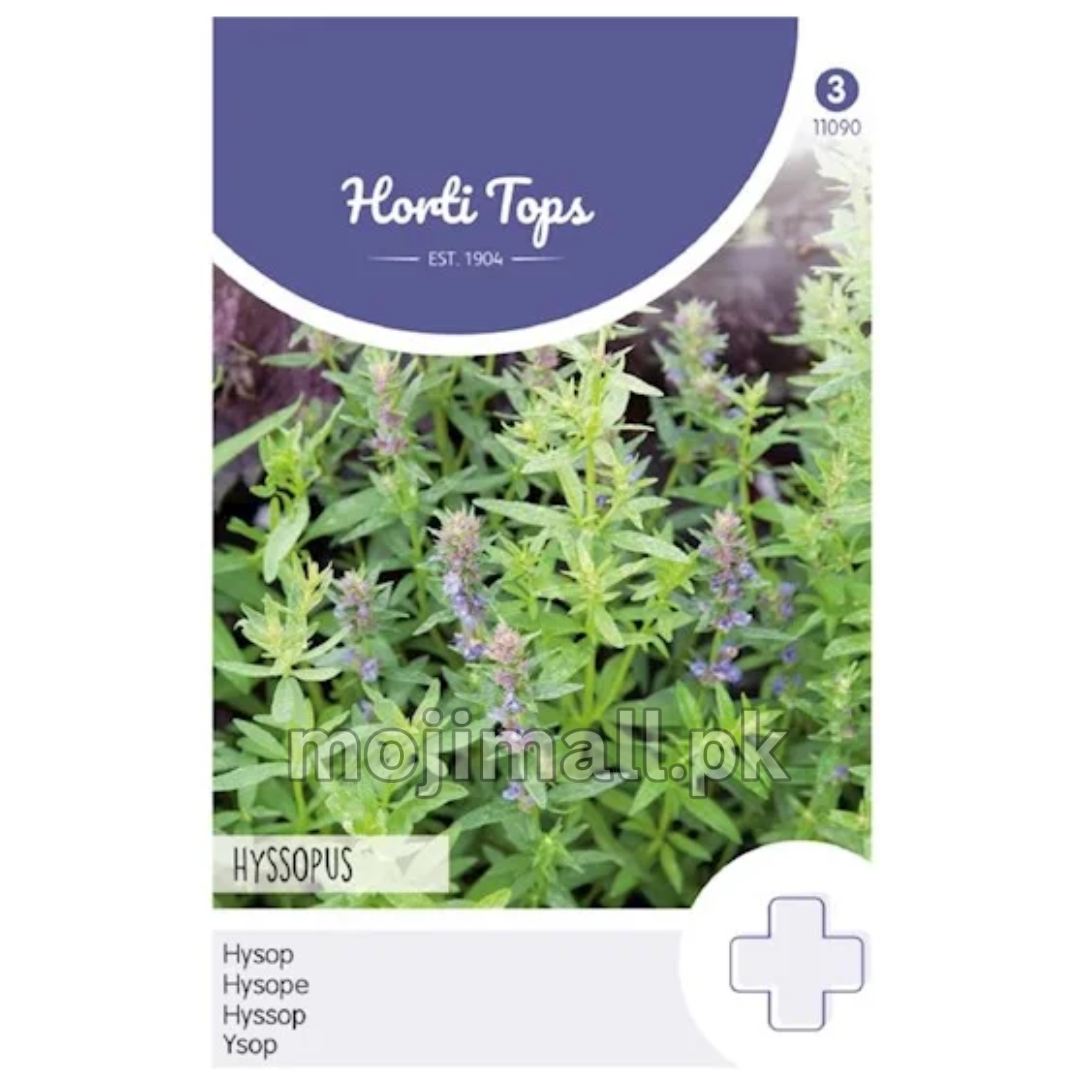 Hyssop Herb – Horti tops Seeds (Imported - Limited Stock)