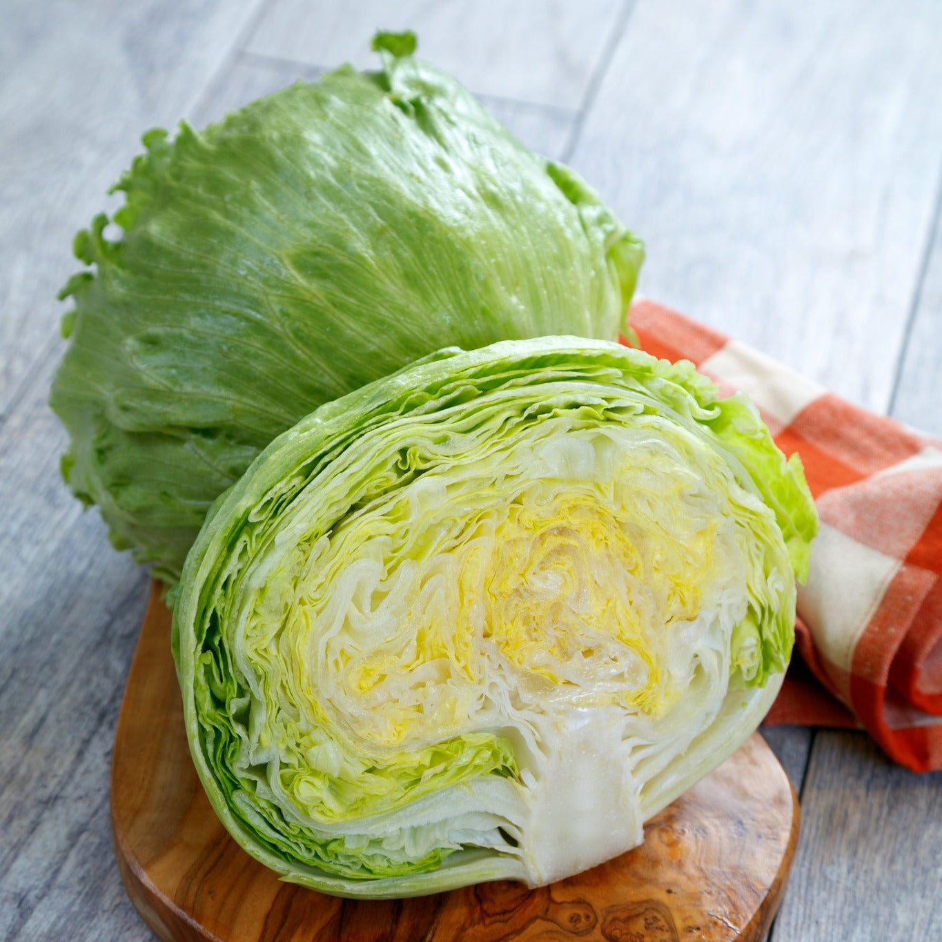 Lettuce Iceberg – 150+ Seeds
