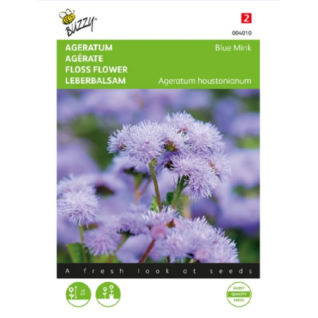 Floss Flower (Blue Mink) – Buzzy Seeds (Imported - Limited Stock)-Moji Mall