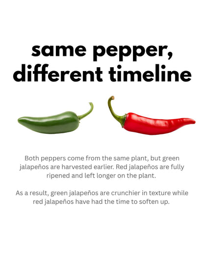 Jalapeno Pepper – 15 Seeds