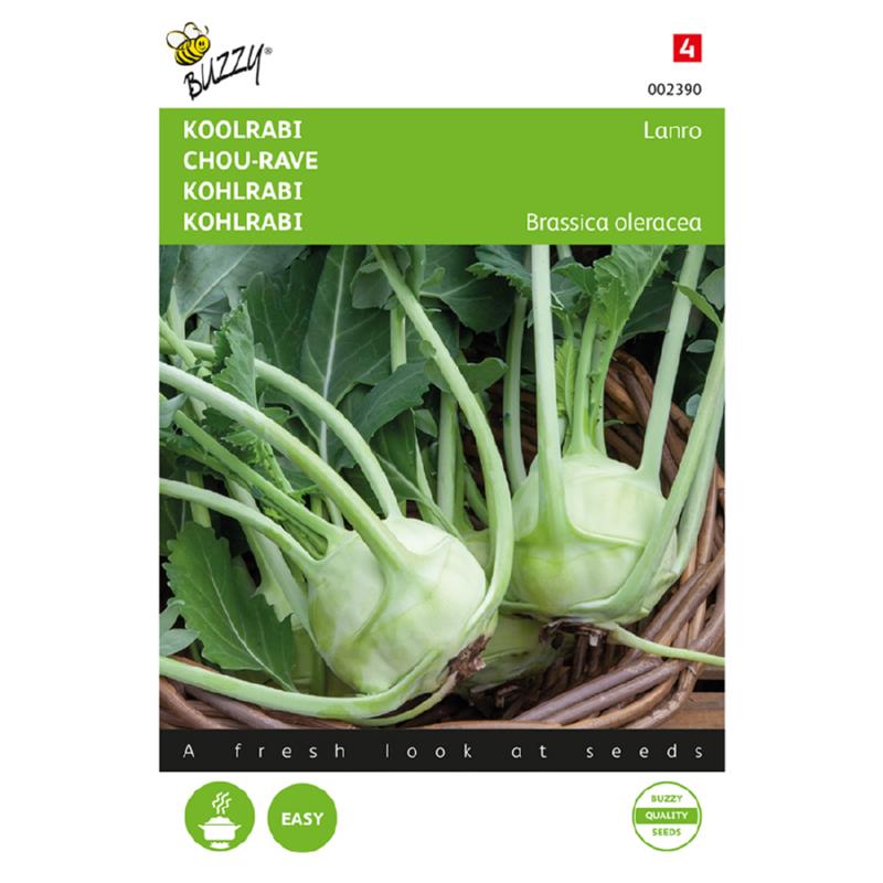 Kohlrabi Green – Buzzy Seeds (Imported - Limited Stock)-Moji Mall