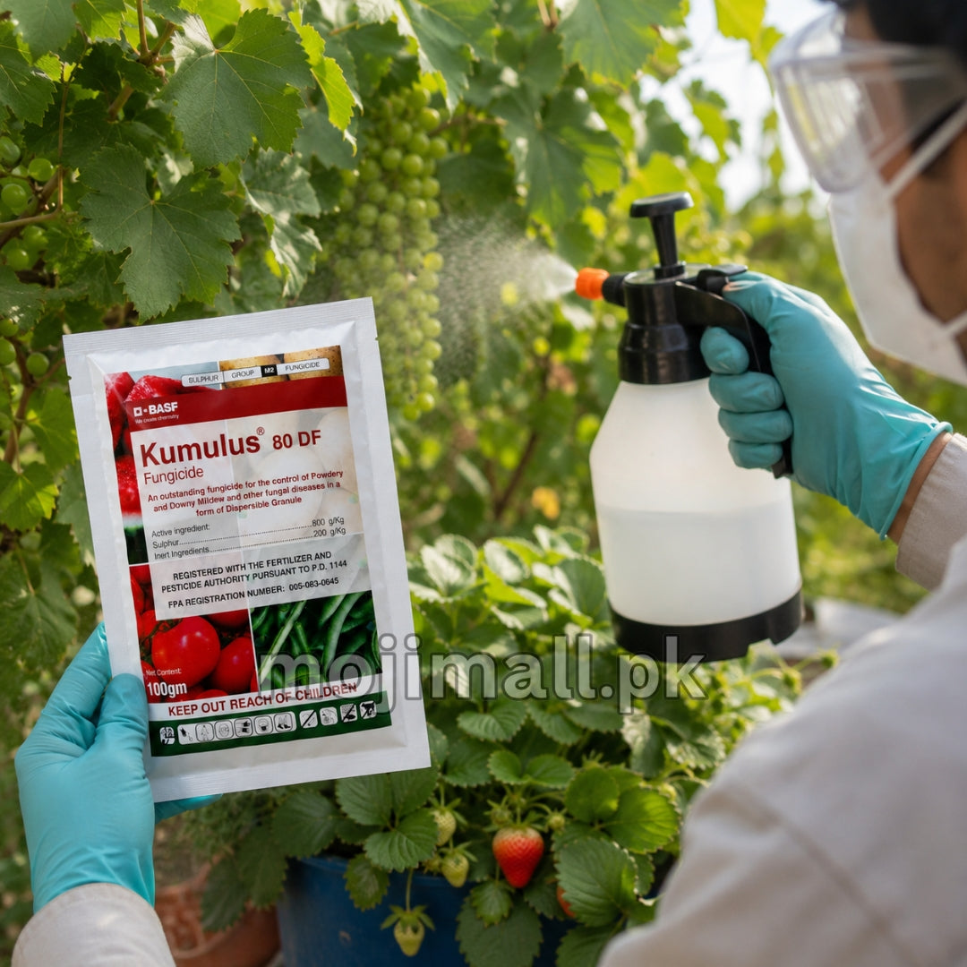 Kumulus sulphur fungicide for controlling powdery mildew and other labelled fungal diseases on plants in Pakistan by Moji Mall.