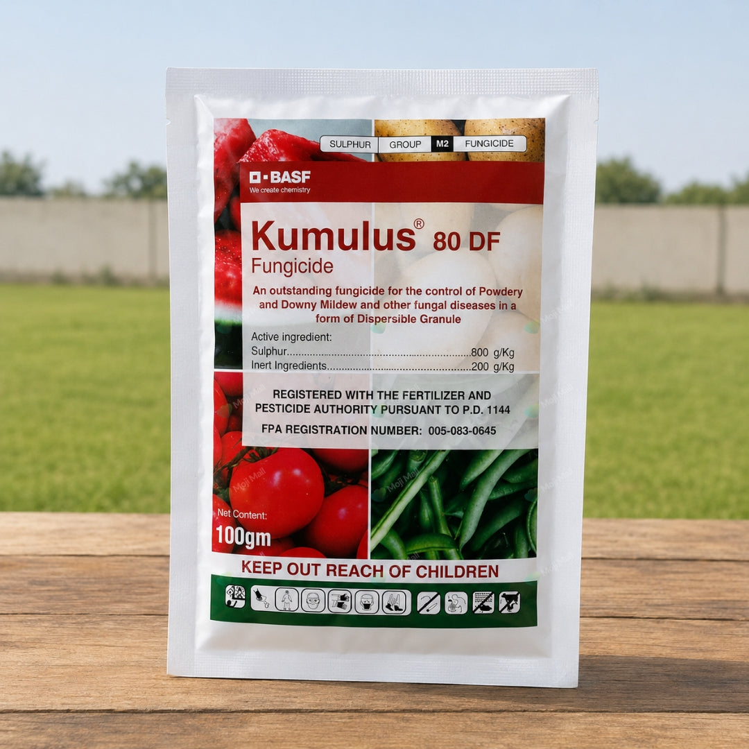 Kumulus Fungicide (100g)