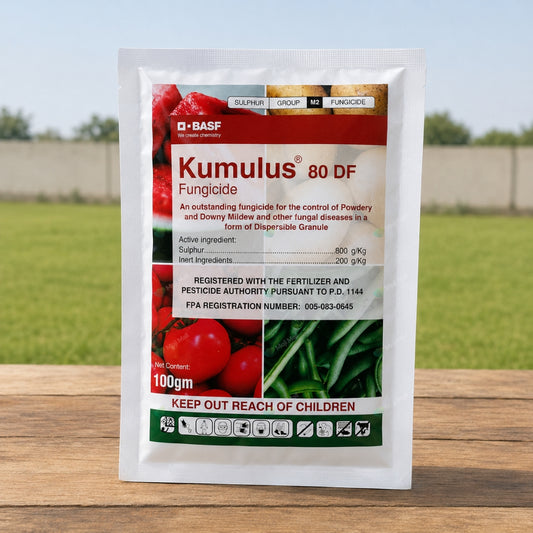 Kumulus Fungicide (100g)