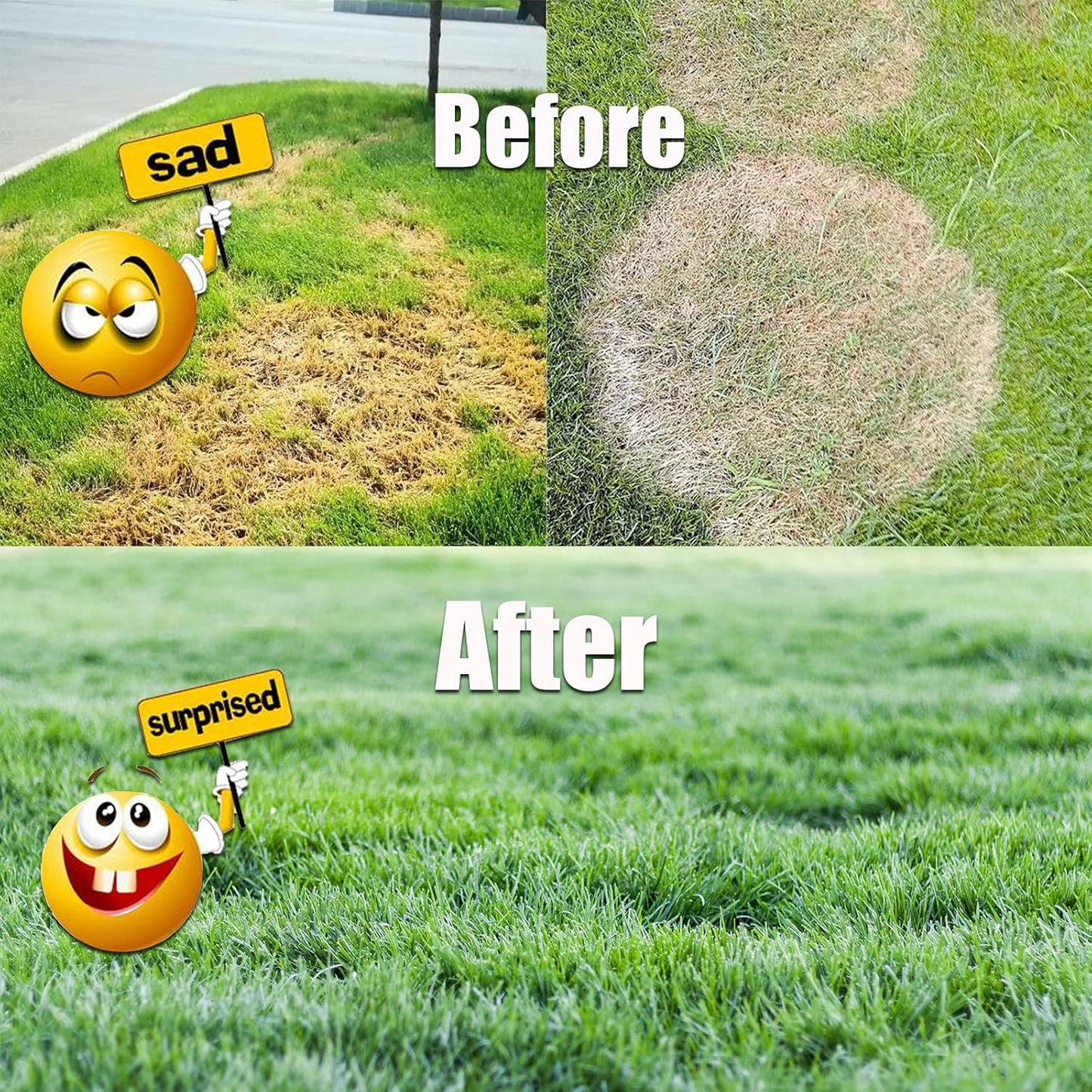 Lawn Fertilizer