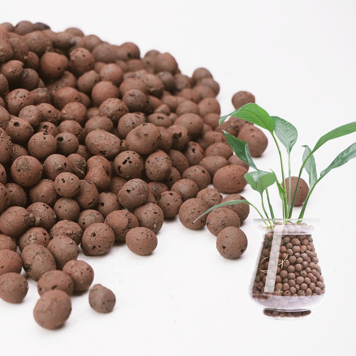 Leca Balls (imported)