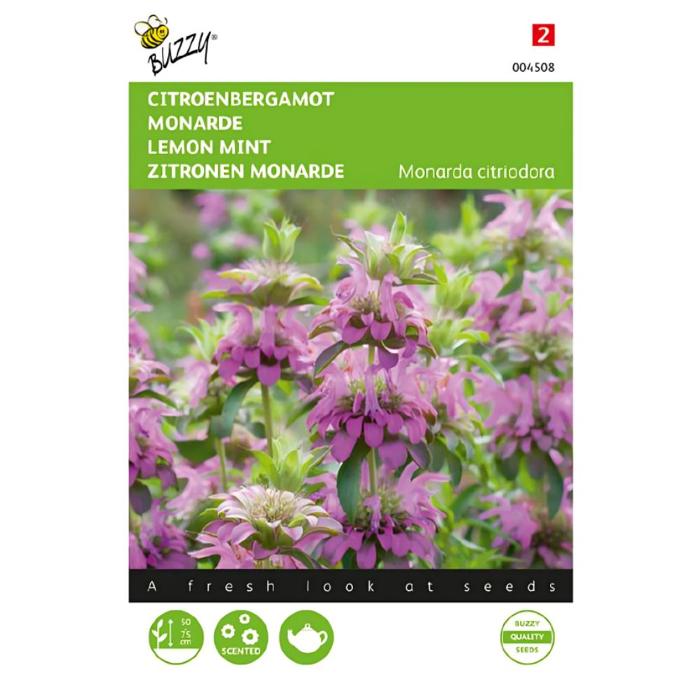 Lemon Mint – Seeds (Imported - Limited Stock)