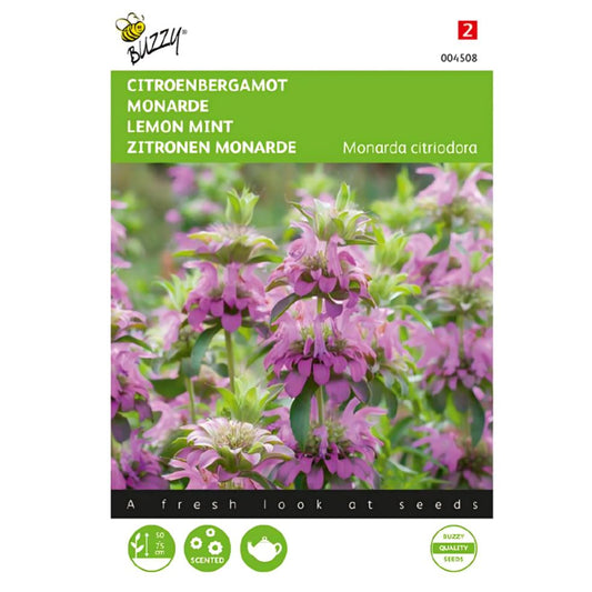 Lemon Mint – Seeds