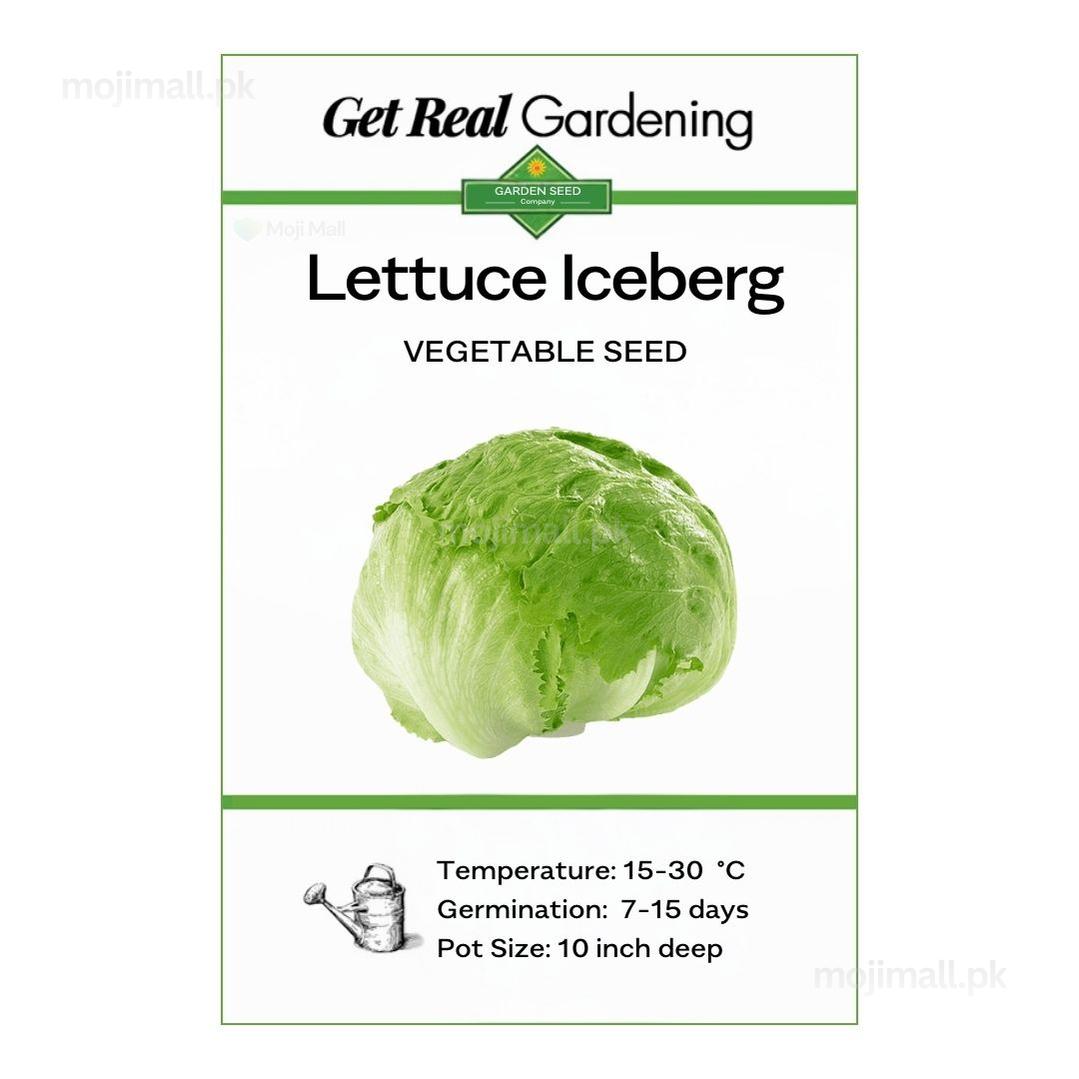 Lettuce Iceberg Seeds – Crisp Salad Vegetable – Moji Mall