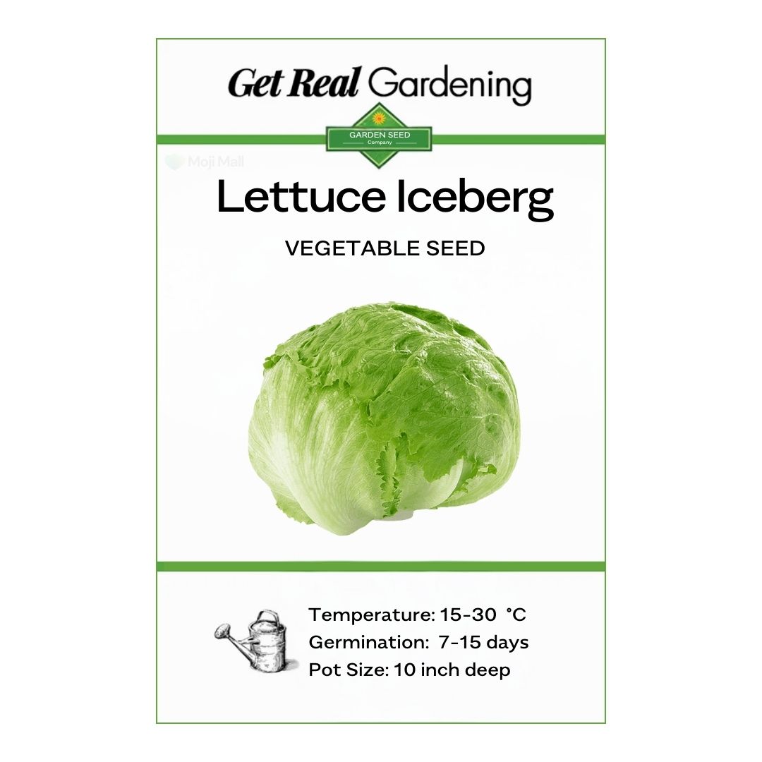Lettuce Iceberg seed packet with branding and product details on a white background
