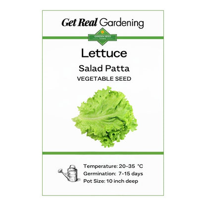 Lettuce (سلاد پتہ کے بیج) – 250+ Seeds