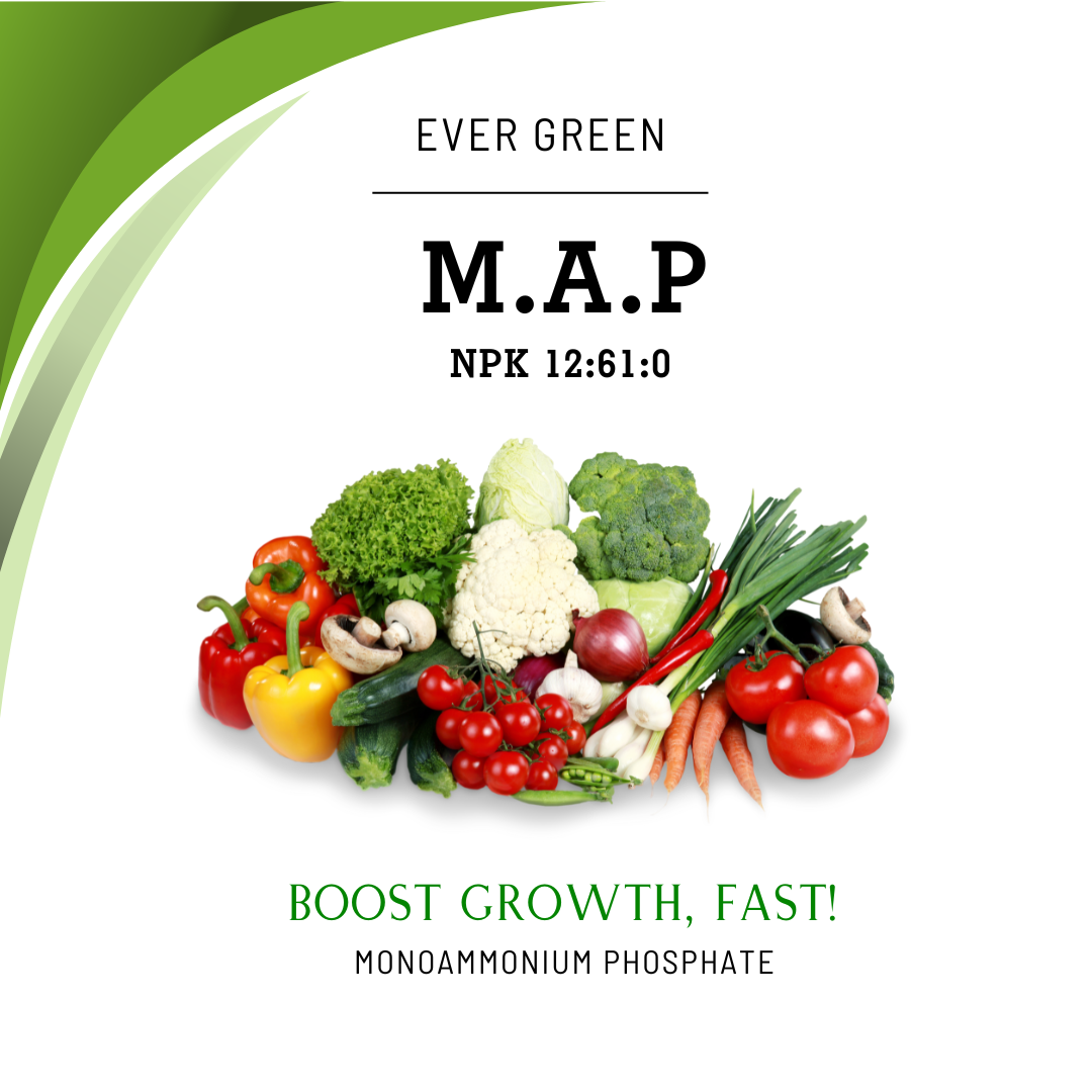 Imported - Italy - M.A.P (12:61:0) Fertilizer