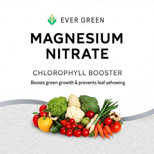 Magnesium Nitrate - Fertilizer (imported)